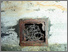 [thumbnail of Darwell_AfterSchwitters.jpg]