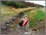 [thumbnail of not-starting-from-here-01.jpg]