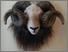 [thumbnail of Wilson_FeralAttraction.jpg]