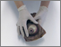 [thumbnail of Topping_ScreenUsed.jpeg]