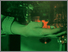 [thumbnail of Topping_PeterScreening.jpg]