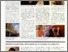 [thumbnail of Mulvey_RSAAnnual.pdf]