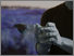[thumbnail of Wilson_TheOnly.jpg]