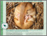 [thumbnail of Findlay-Robinson_AreDormiceWaking.pdf]