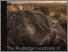 [thumbnail of book publisher's free preview]